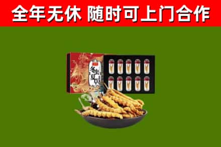 福州烟酒回收冬虫夏草礼盒.jpg